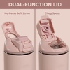 image:imageHydroJug Ease2o 14oz Kids Water Bottle with Straw amp Chug Lid LadybygDusty Rose