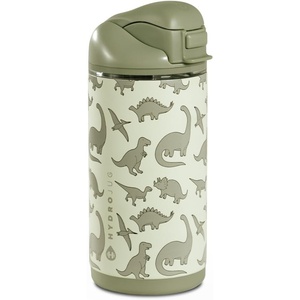 image:imageHydroJug Ease2o 14oz Kids Water Bottle with Straw amp Chug Lid LadybygDinosaur